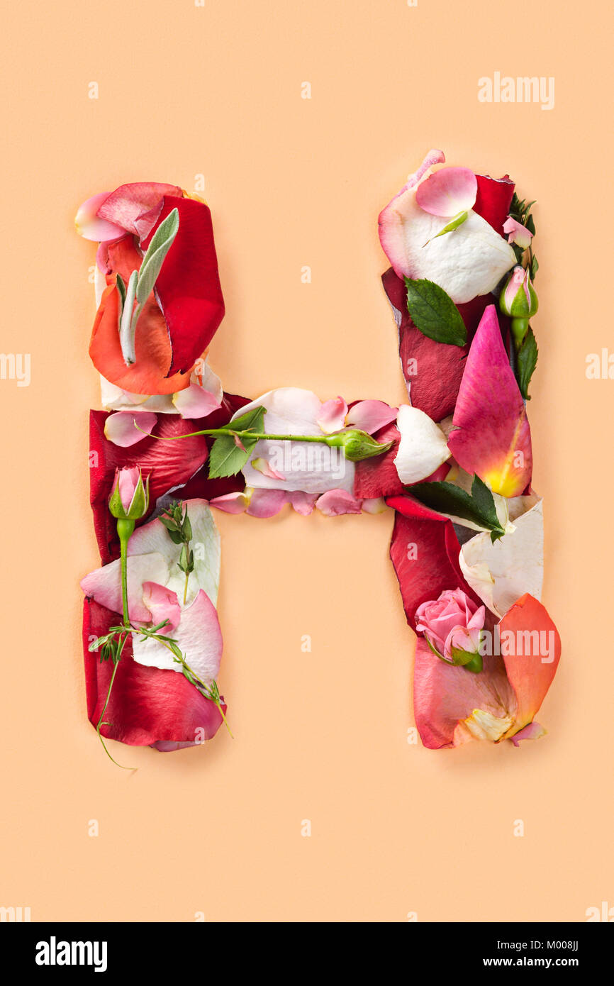 Letter H made from red roses and petals isolated on a white background  Stock Photo - Alamy