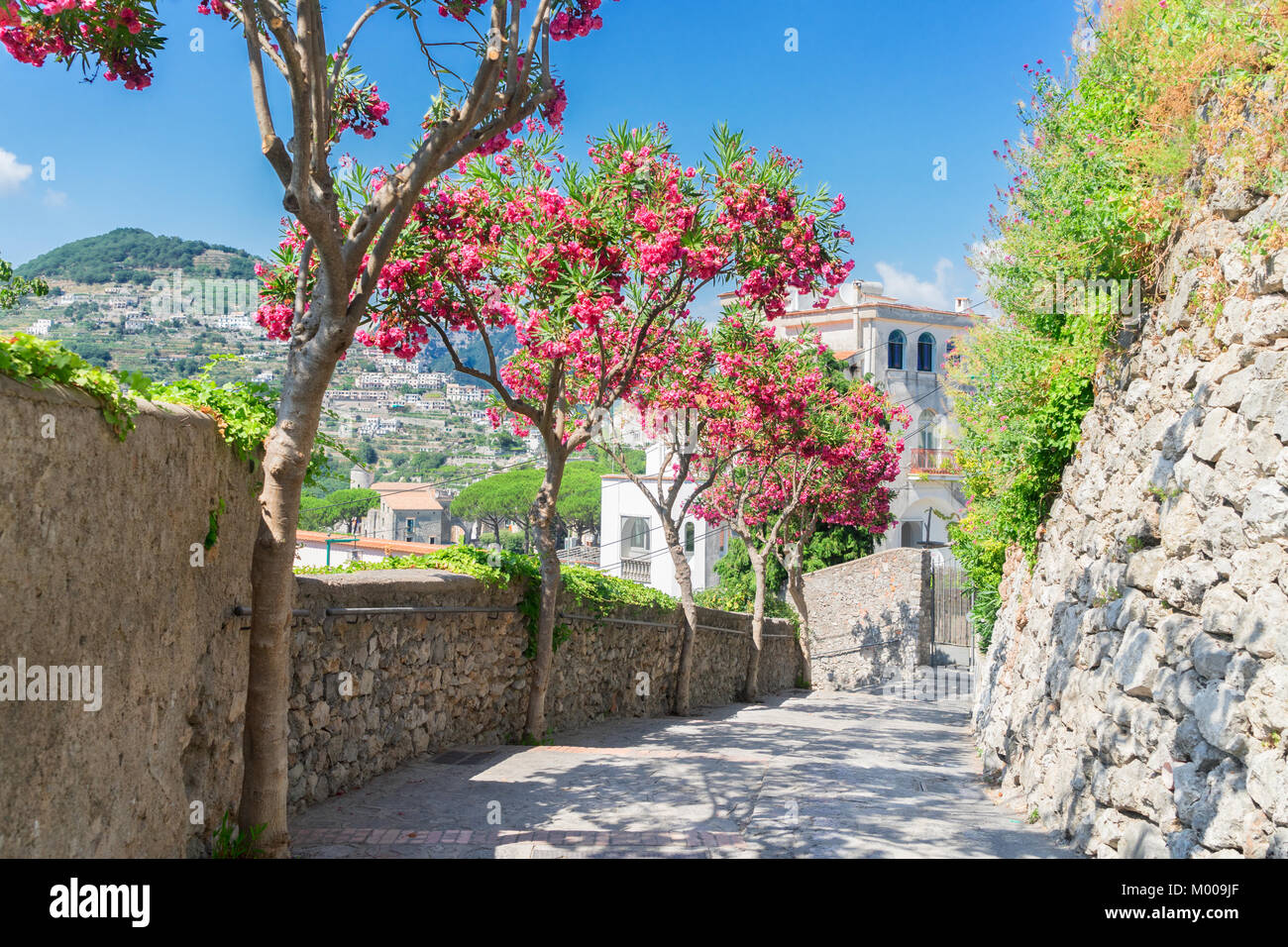 street-in-ravello-village-amalfi-coast-of-italy-stock-photo-alamy