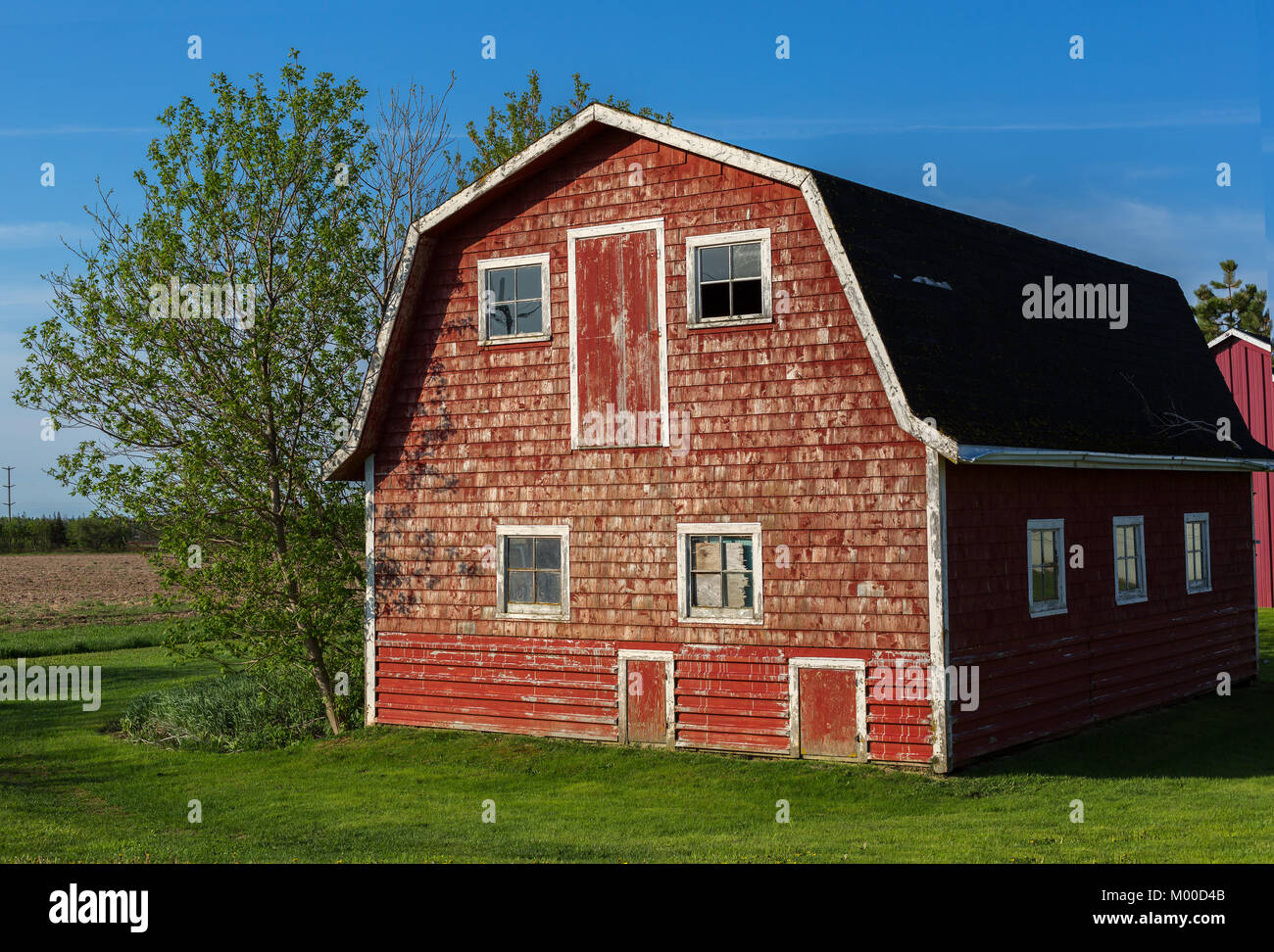 Little red barn in rural North America. Stock Photo