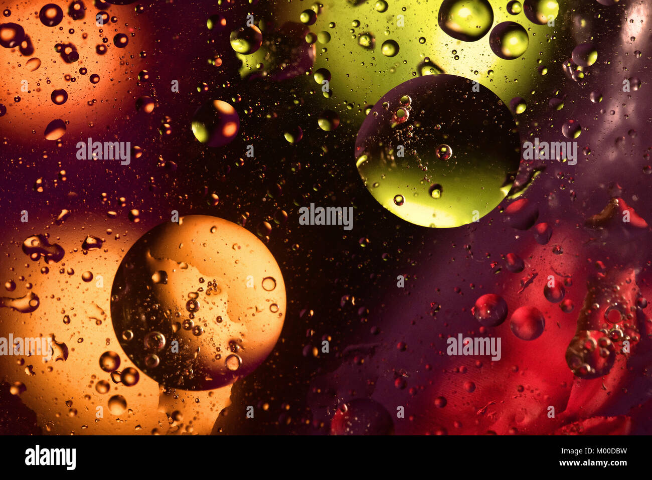 Colorful and bright background with circle oil drops that reflect