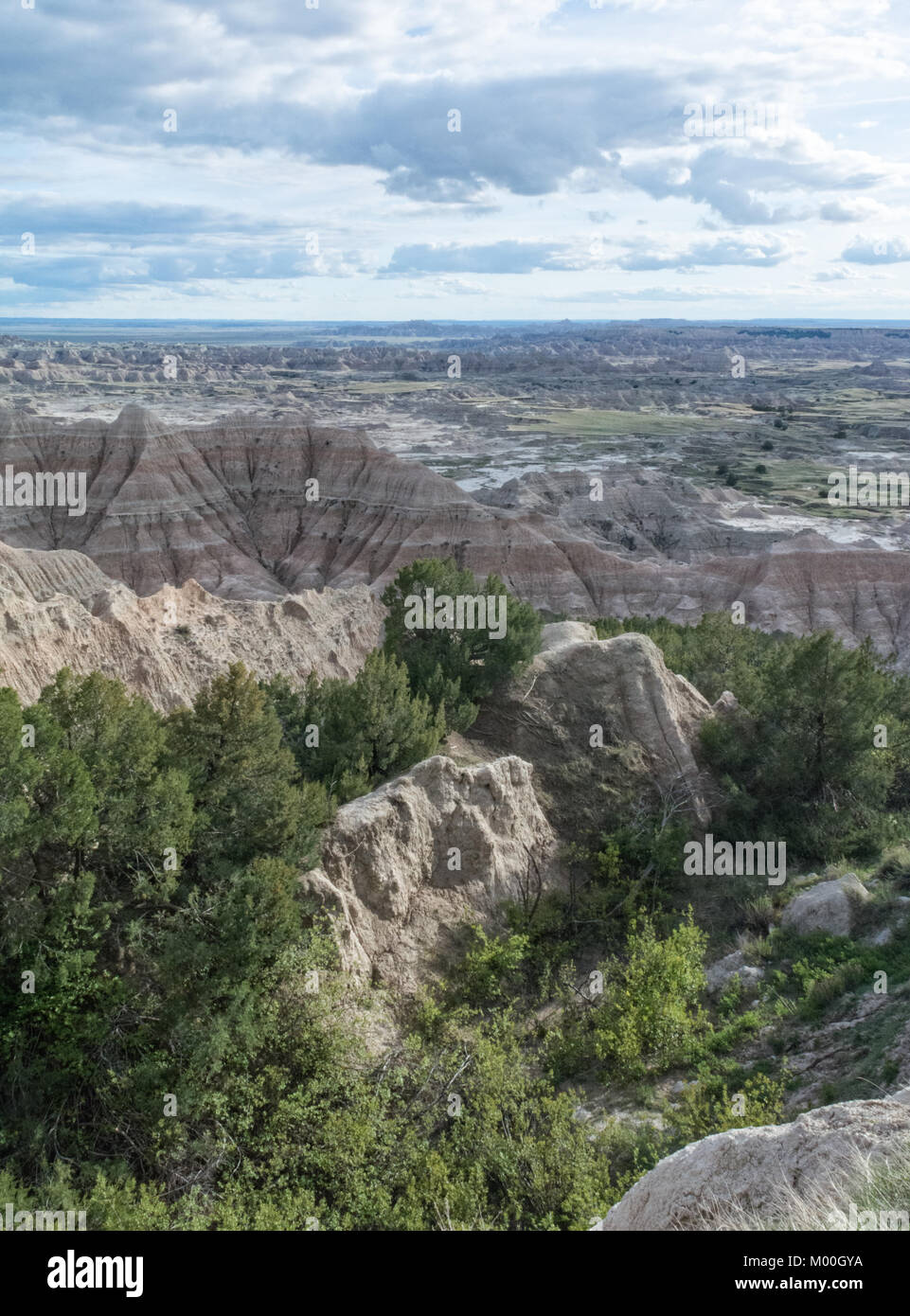 Trees and brush have found a foothold within a valley surounded by sandstone hills. Stock Photo