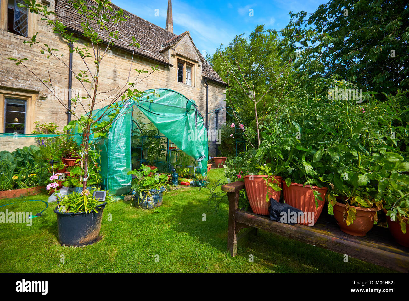 A vegetable garden behind an almshouse cottage in Oxfordshire Stock