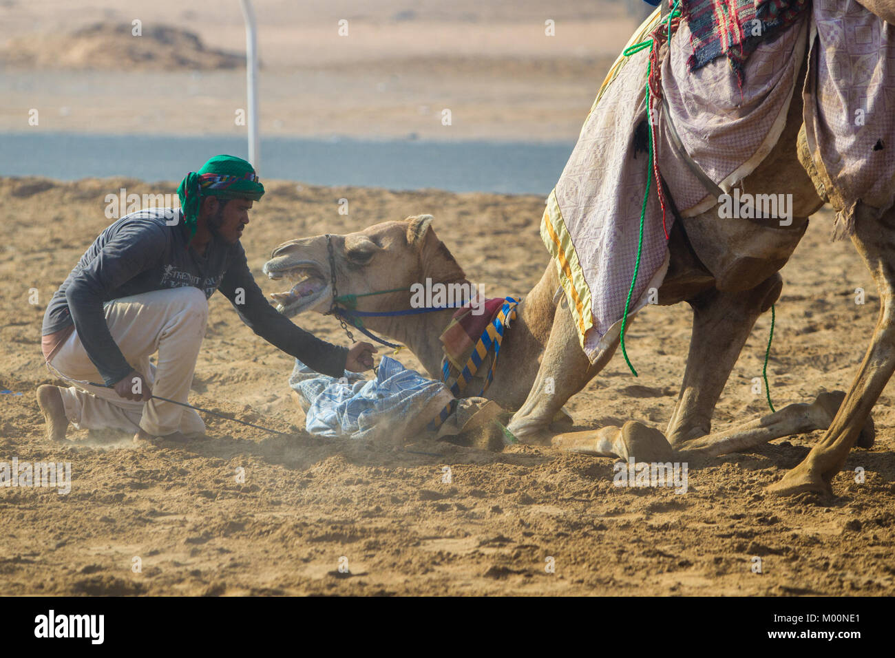 Camel handlers hi-res stock photography and images - Alamy