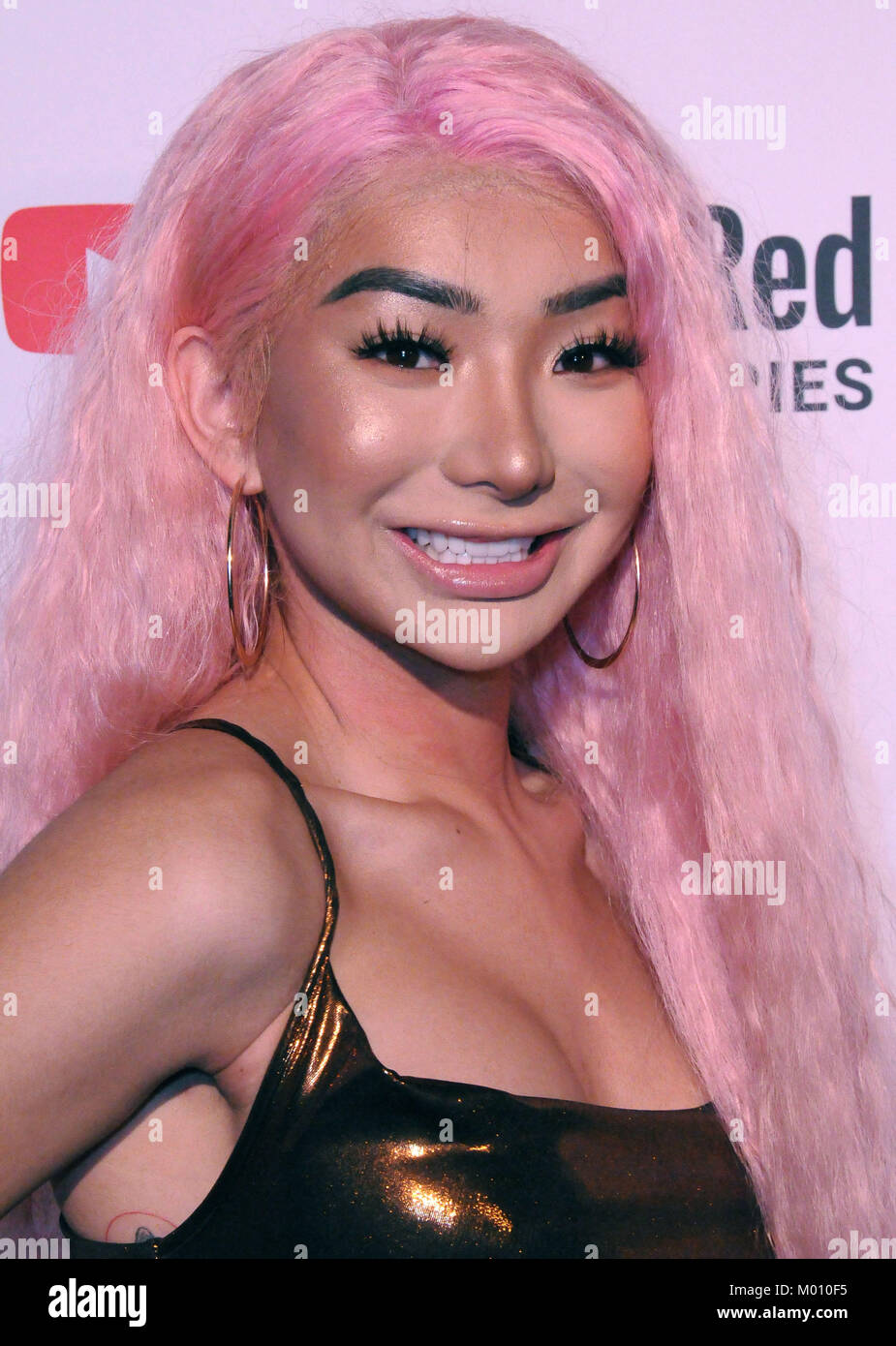 Los Angeles, California, USA. 17th Jan, 2017. Nikita Dragun attends Stock  Photo - Alamy