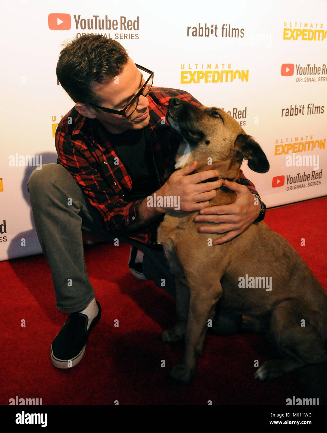 How Can I Bring My Dog From Peru To Usa