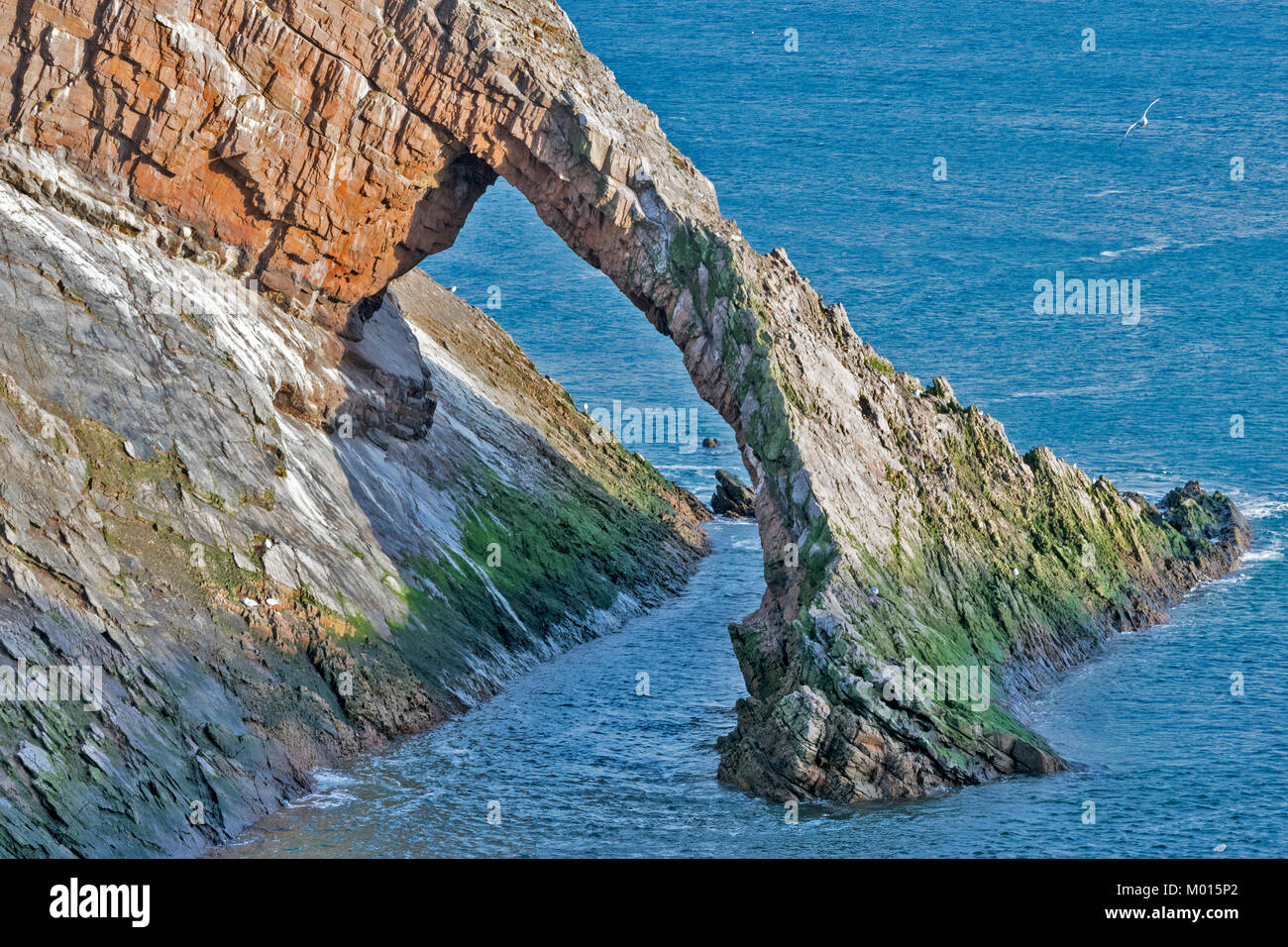 BOW FIDDLE ROCK PORTKNOCKIE MORAY SCOTLAND SHOWING DETAIL OF THE BOW AND THE CHANNEL BENEATH Stock Photo