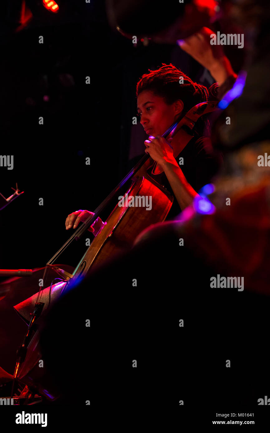 New York, NY - January 16, 2018: Nicole Mitchell presents Mandorla