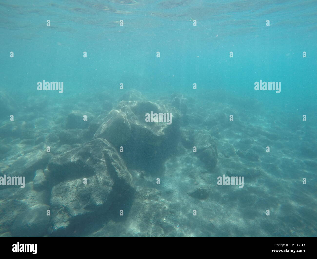 Underwater sea scene of rocks Stock Photo - Alamy