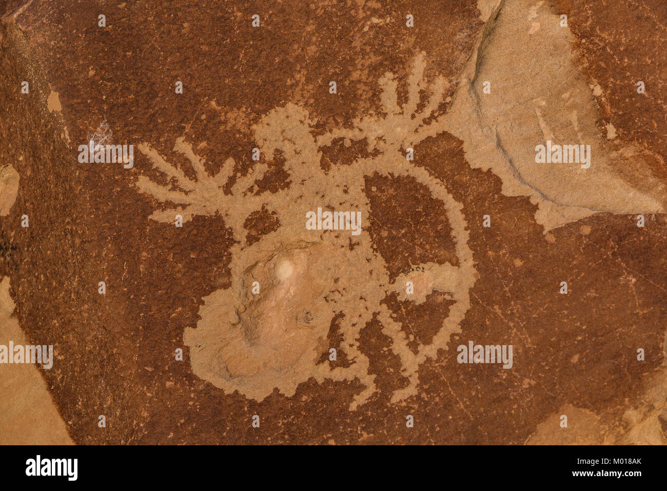 Human figure with prominent hands and a shield-like circle in Nine Mile Canyon, Utah, USA Stock Photo