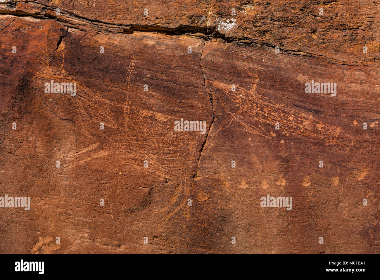 Petroglyphs with fine interior lines depicting game animals in Nine Mile Canyon, Utah, USA Stock Photo