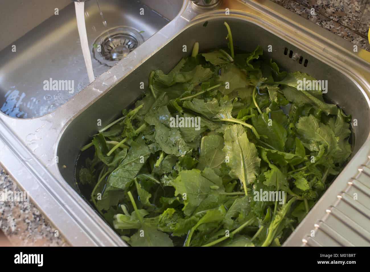 washing fresh vegetable in a home metallic sink Stock Photo Alamy