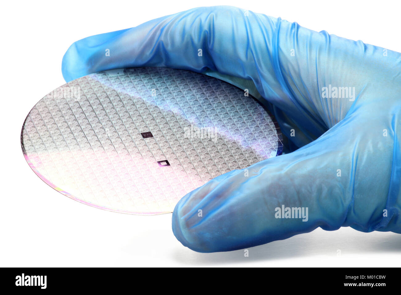 hand holds a silicon wafer for inspection on white background Stock Photo