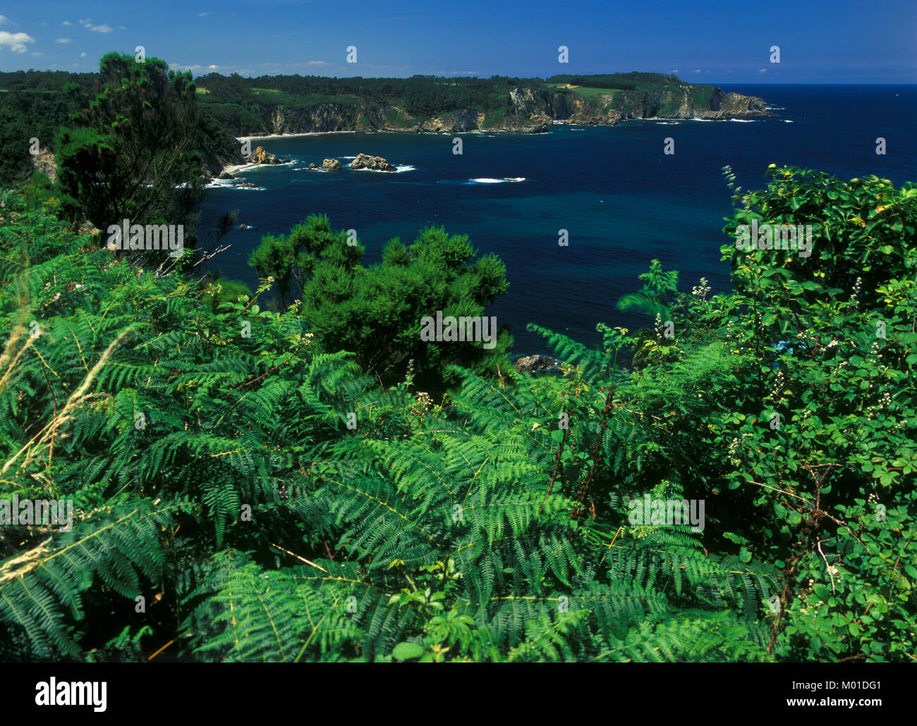 Paisajes de la naturaleza. España. Europa Stock Photo - Alamy
