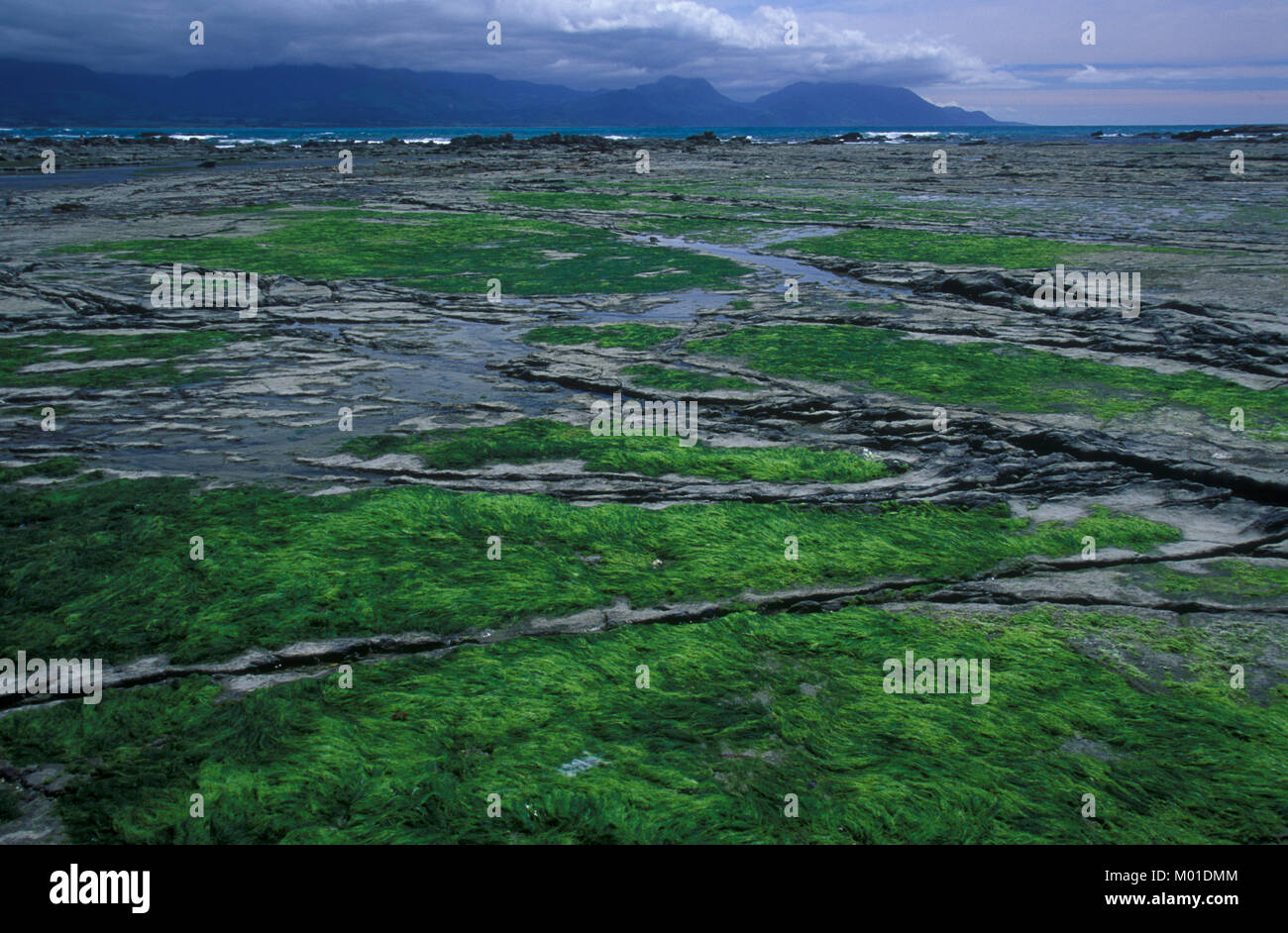 Paisajes hermosos de la Naturaleza Stock Photo - Alamy