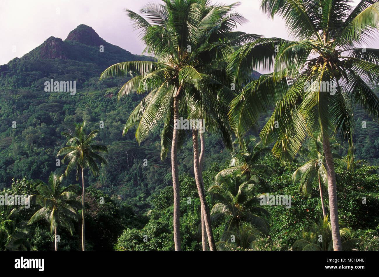 Paisajes de seychelles hi-res stock photography and images - Alamy