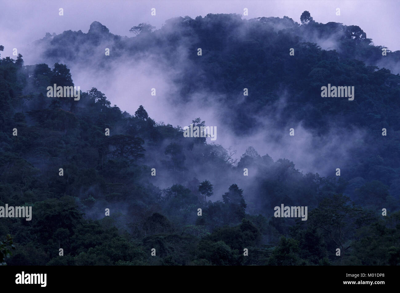 Paisajes hermosos de la Naturaleza Stock Photo - Alamy