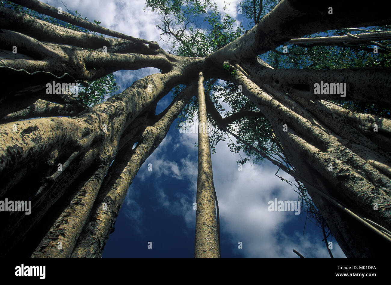 Paisajes hermosos de la Naturaleza Stock Photo - Alamy