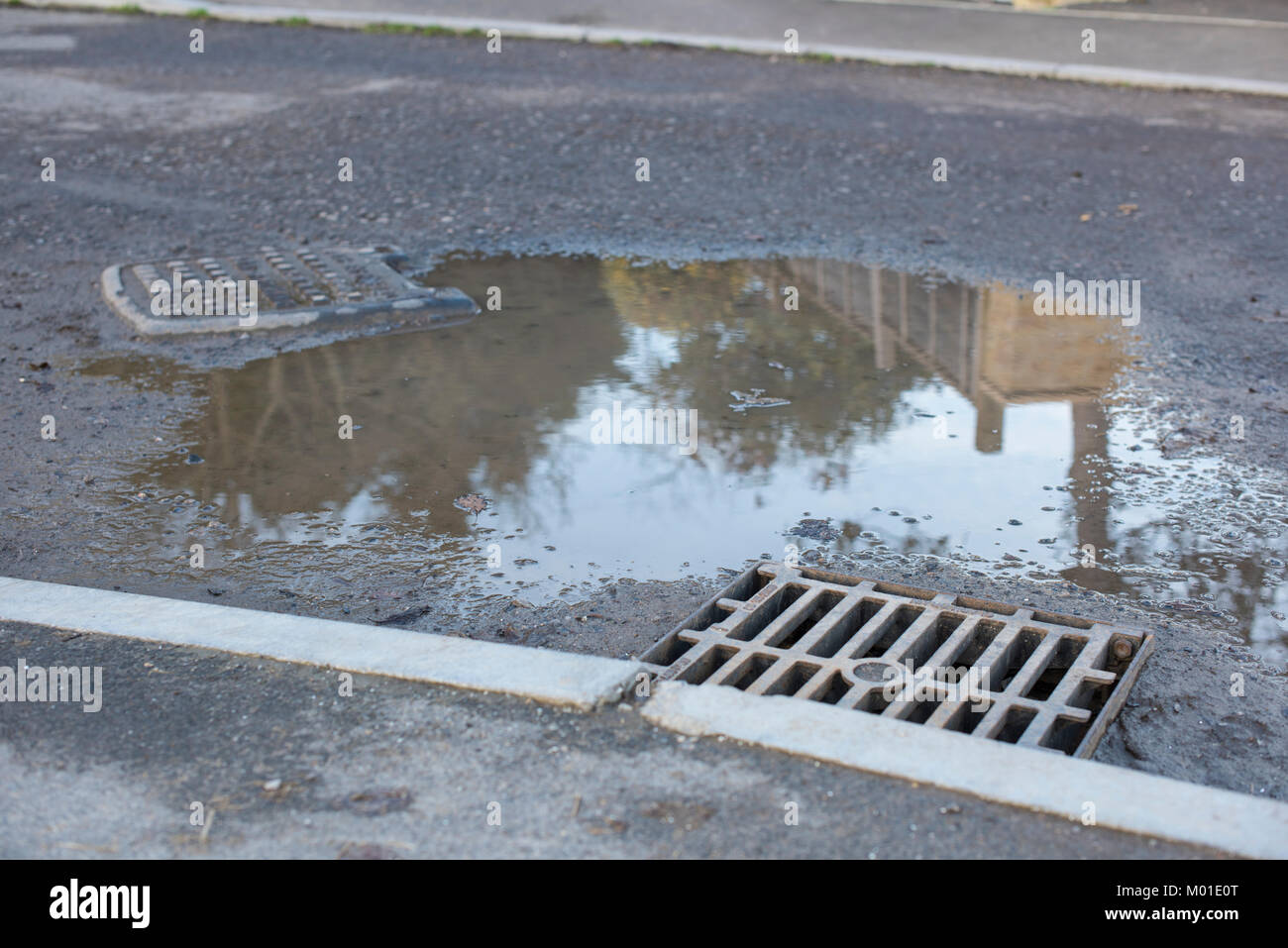 A surface water drain cover with a large puddle next to it Stock Photo