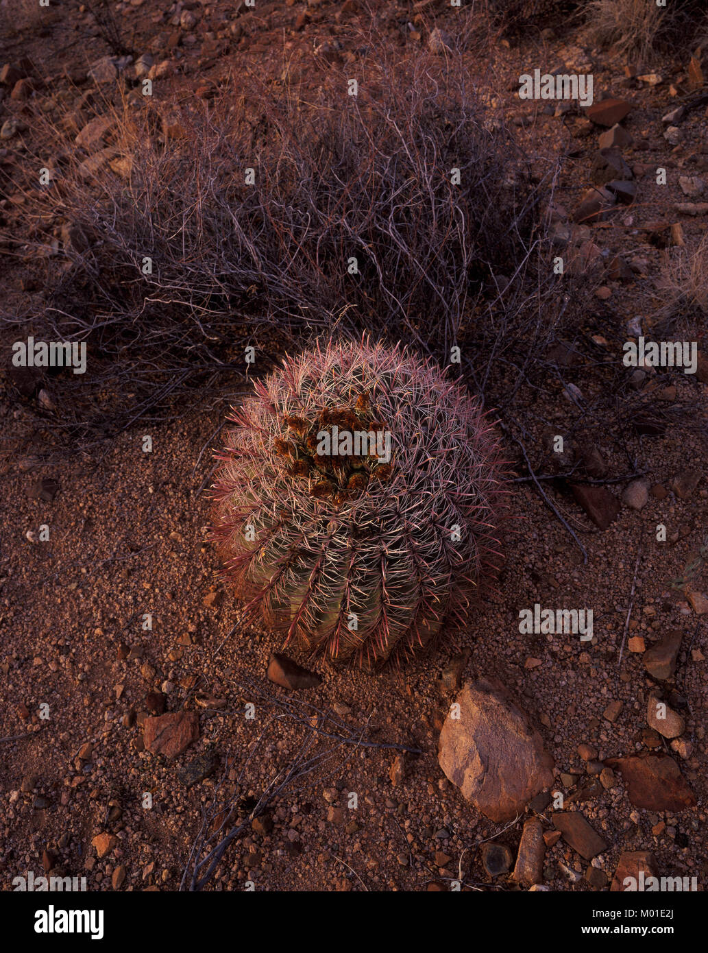 Paisajes hi-res stock photography and images - Alamy
