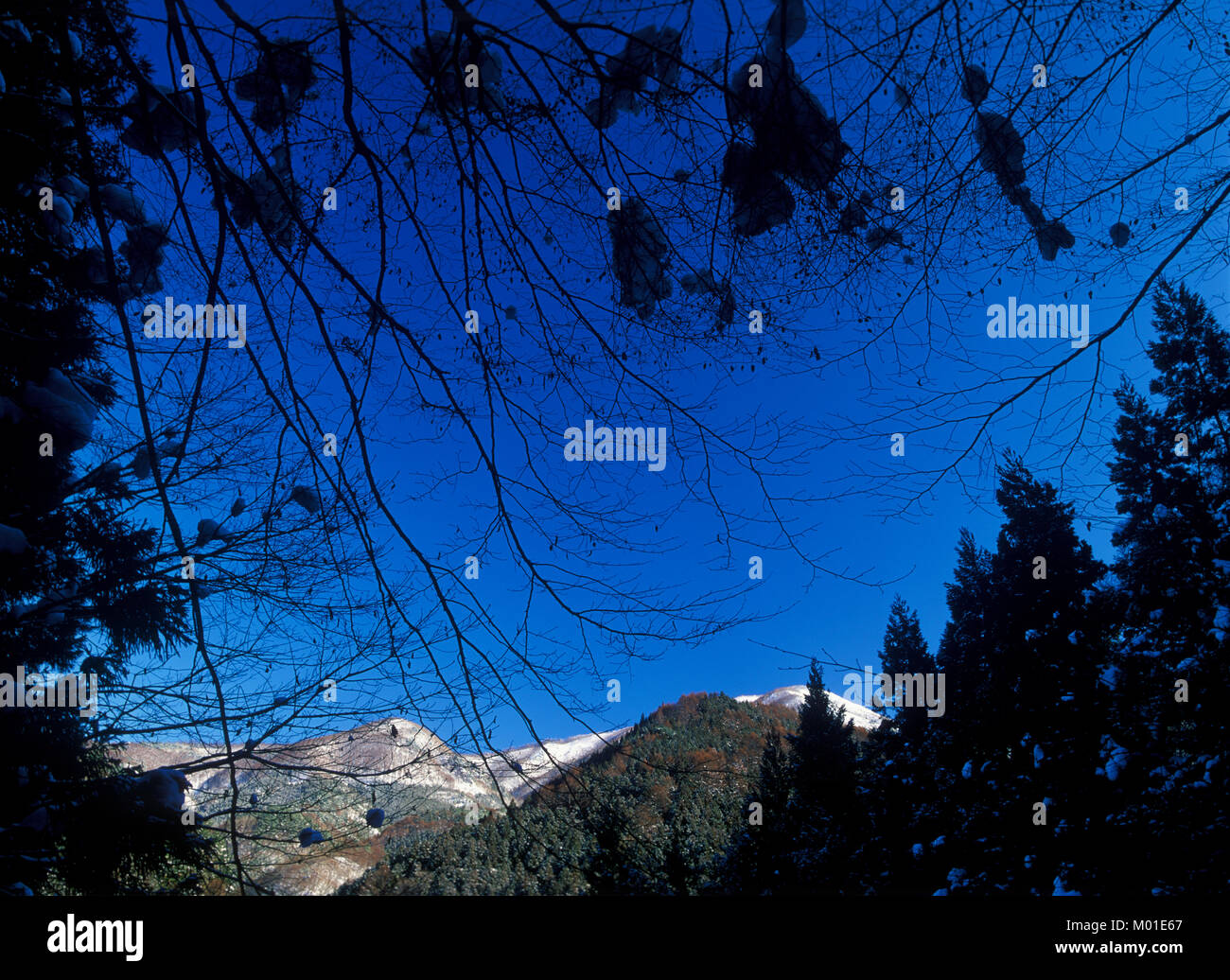Invernal hi-res stock photography and images - Alamy