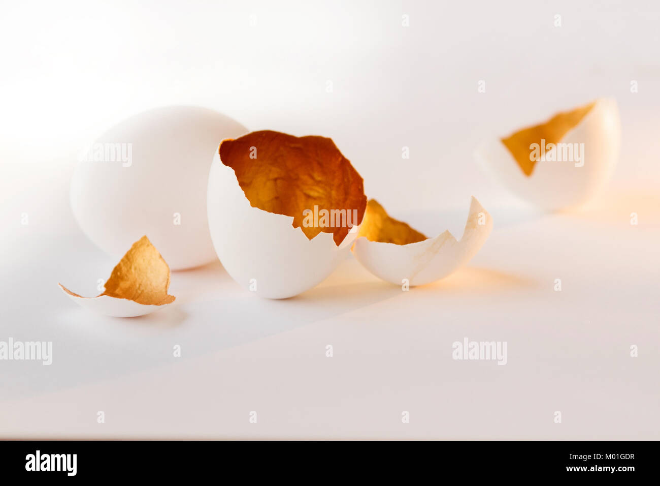 A symbol of new life, eggs shells. Decorative, gold color inside Stock Photo