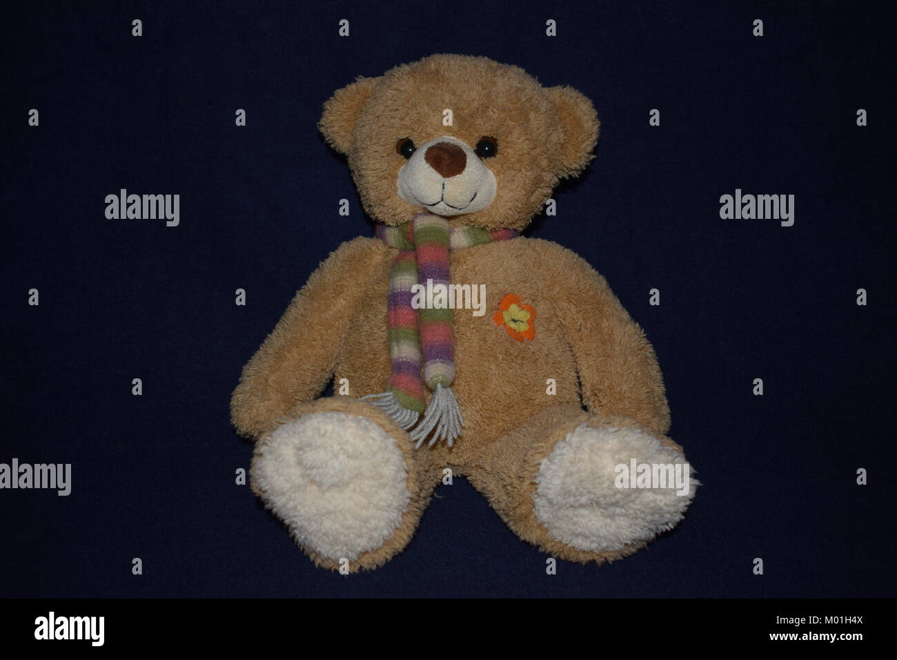Stuffed animal teddybear Stock Photo