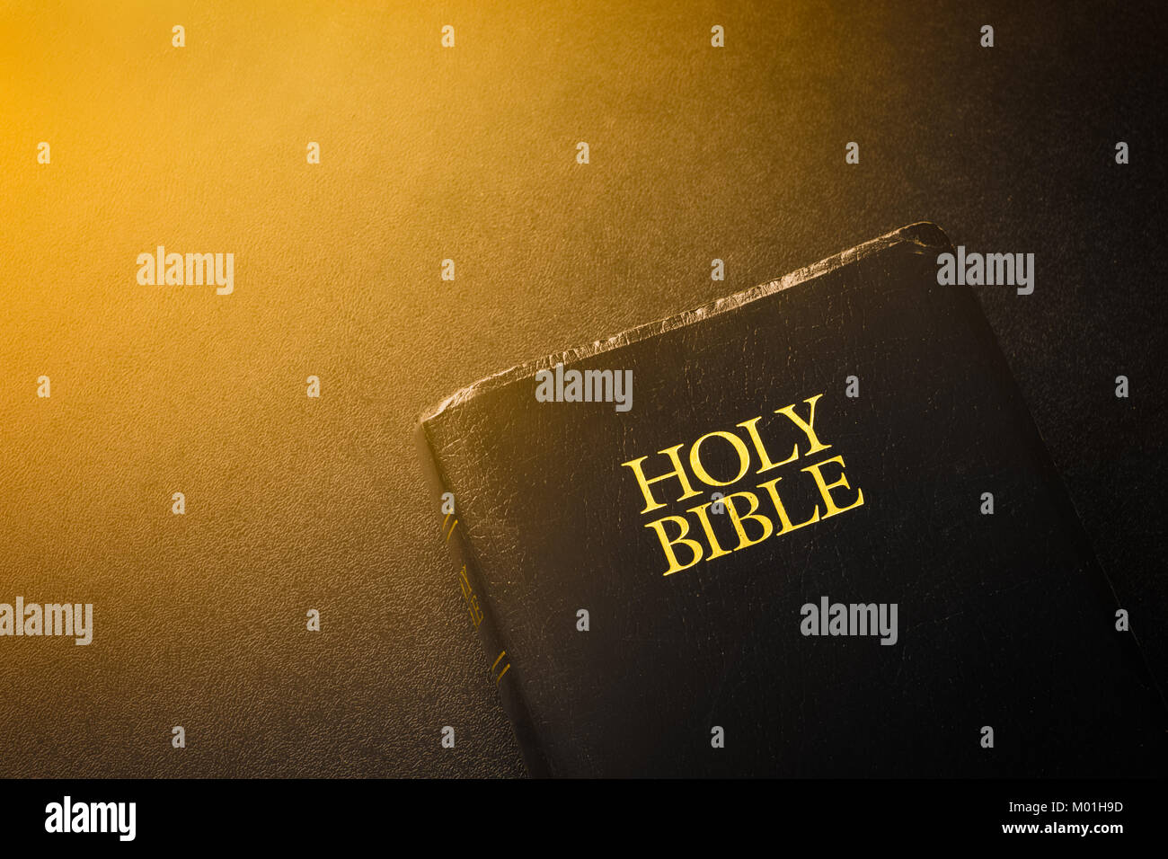 holy bible new testament pdf