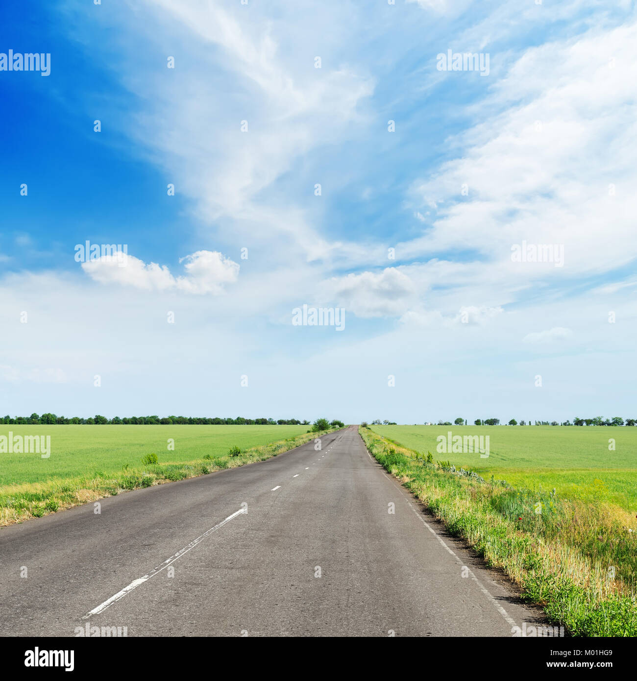 Asphalt road in green hi-res stock photography and images - Alamy