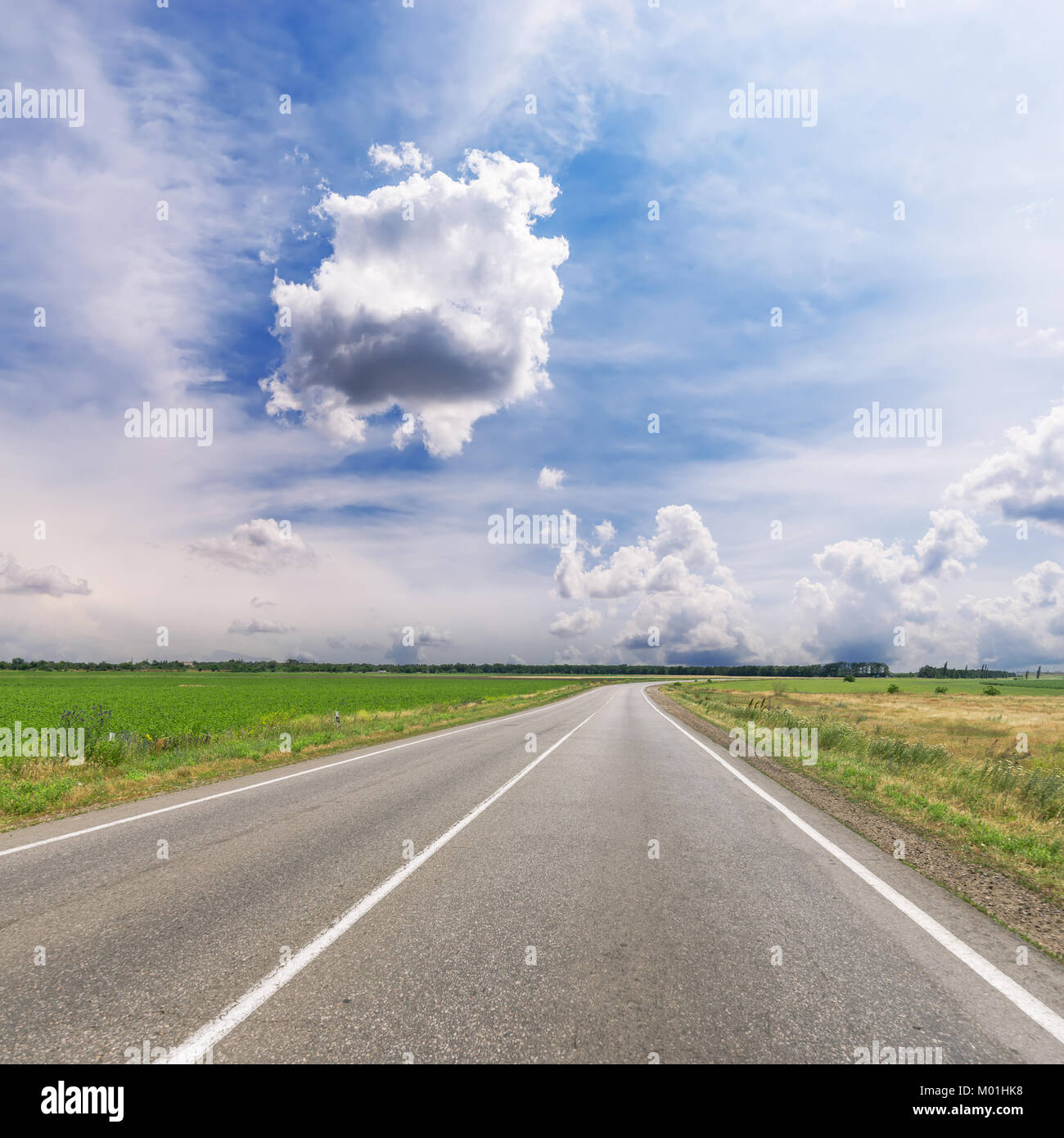 asphalt road to horizon in field under low dramatic clouds Stock Photo ...