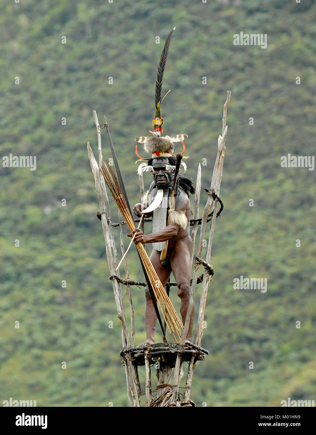 Yali Mabel, the chief of Dani tribe on the observation tower. July 2009,  The Baliem Valley, Indonesian, New Guinea Stock Photo
