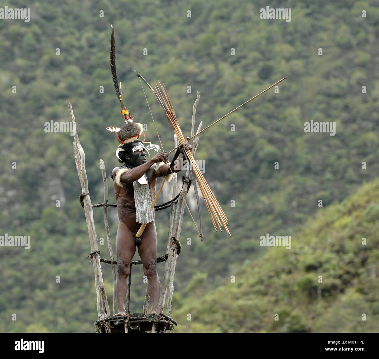 Yali Mabel, the chief of Dani tribe on the observation tower. July 2009,  The Baliem Valley, Indonesian, New Guinea Stock Photo