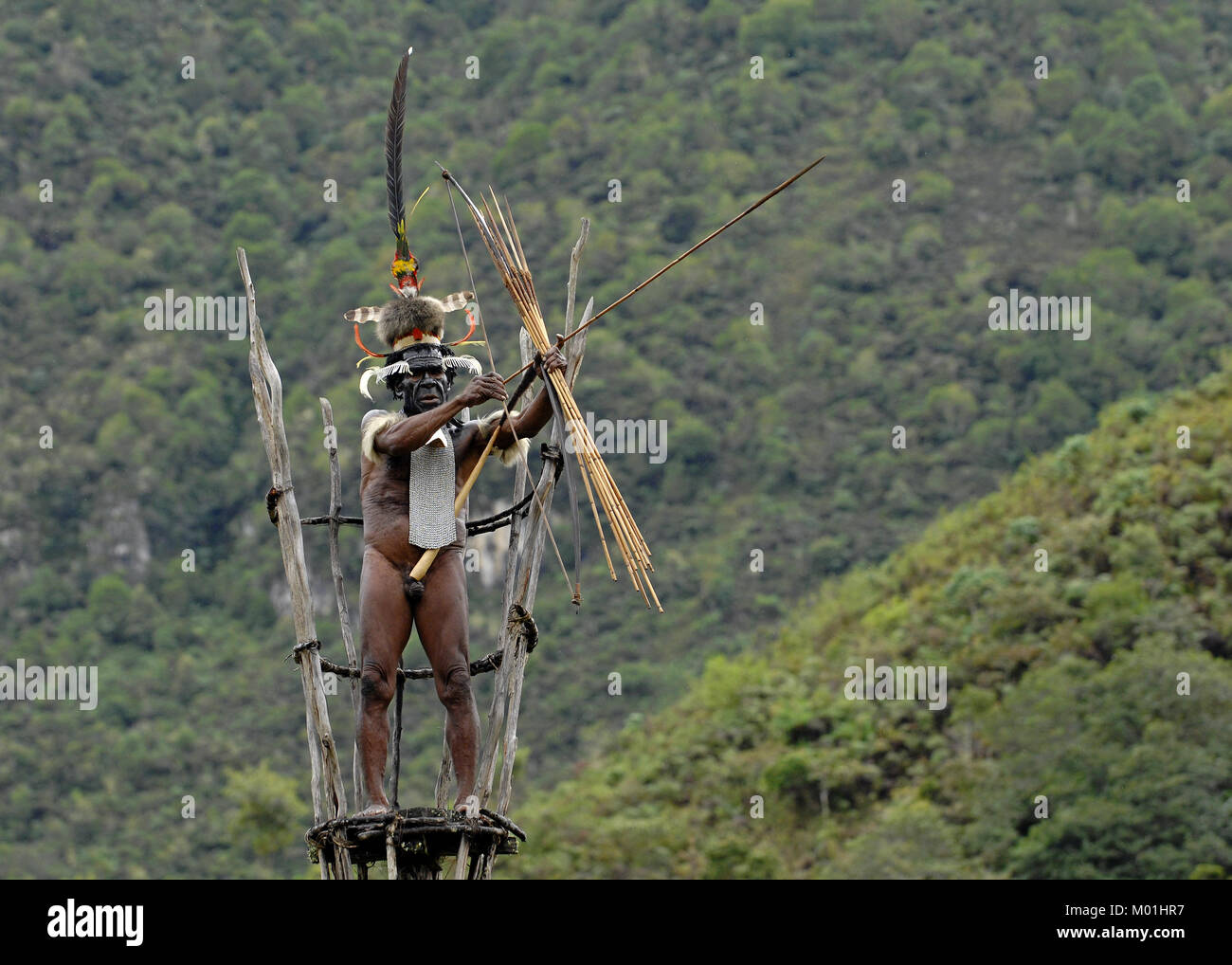Yali Mabel, the chief of Dani tribe on the observation tower. July 2009,  The Baliem Valley, Indonesian, New Guinea Stock Photo
