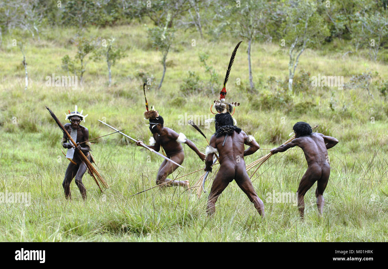 Yali Mabel, the chief of Dani tribe and People of Dani tribe performing battle and fight reconstruction. July 2009, The Baliem Valley, Indonesian, Stock Photo