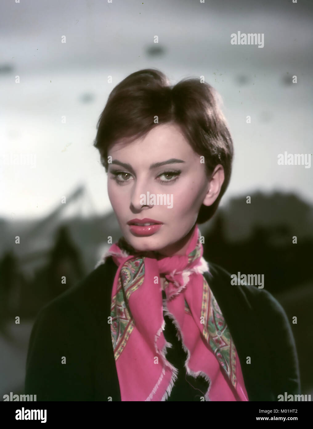SOPHIA LOREN Italian film actress about 1958 Stock Photo