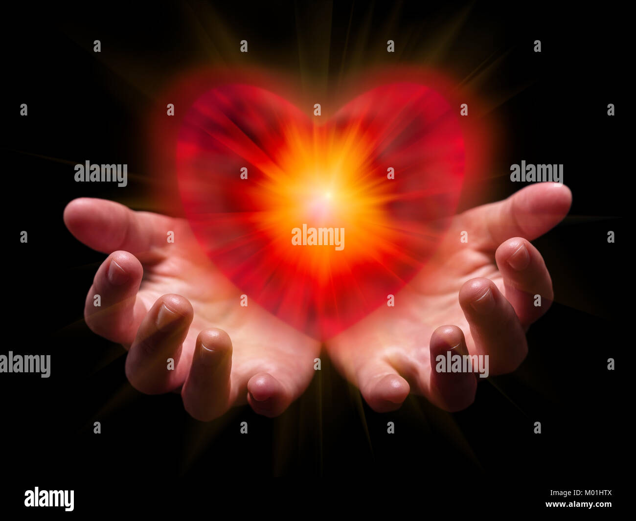 Hands cupped and holding or showing romantic red heart for Valentine or Valentines Day /// bright glowing shining light offering burning Stock Photo