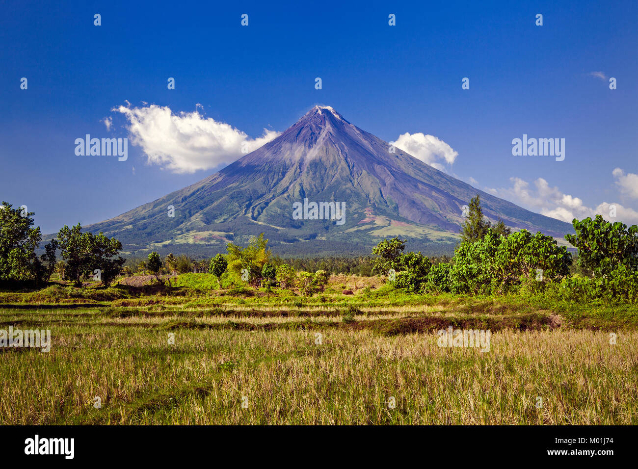 Mount Mayon Volcano is an active stratovolcano, in the province of Albay, Bicol, Philippines. Stock Photo