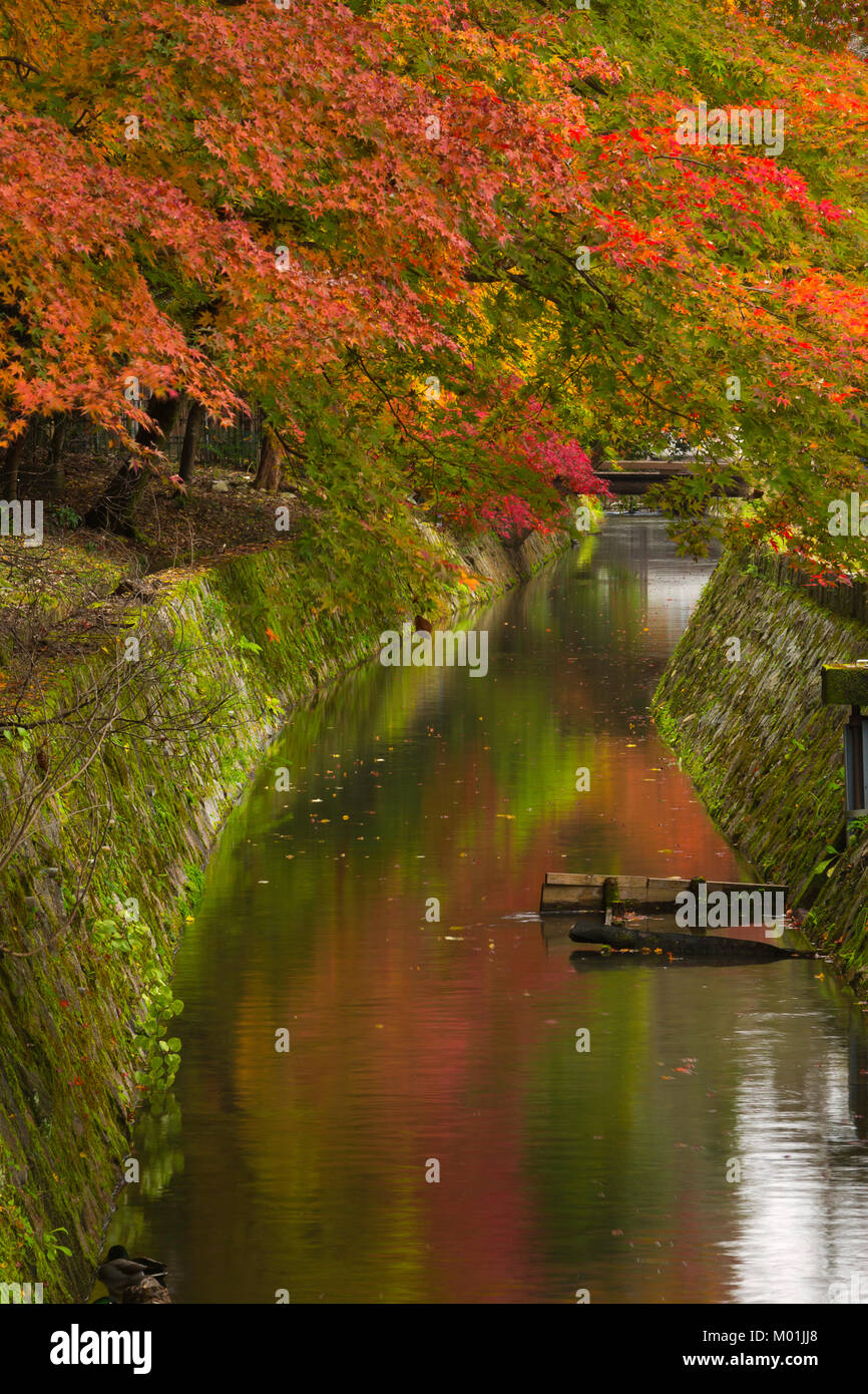 The canal and fall color along the Philosopher's Path in Kyoto, Japan. Stock Photo