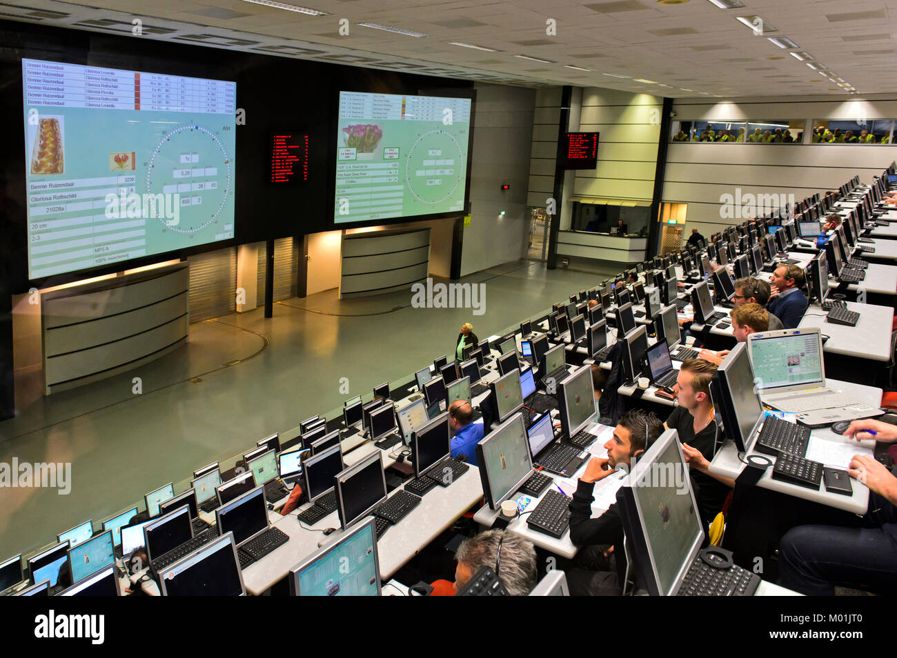 Flower merchants at the flower auctioning in the FloraHolland auction room. Royal FloraHolland, Aaalsmeer, Netherlands Stock Photo