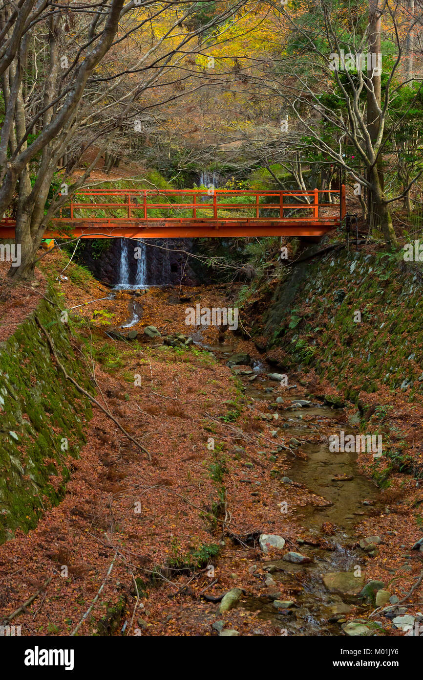 Sanzen-in bridge and stream in Ohara, Japan in the fall Stock Photo