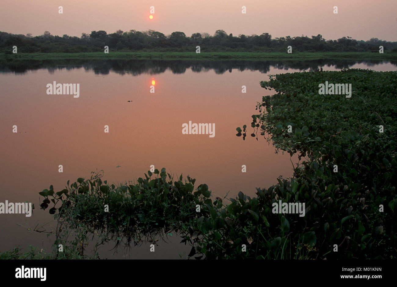 Paisajes de brasil hi-res stock photography and images - Alamy