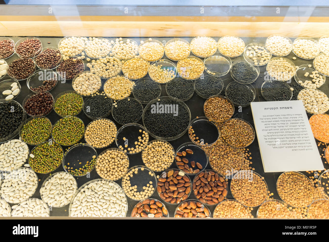 Visiting Bloomfield Science Museum Jerusalem in Israel Stock Photo Alamy