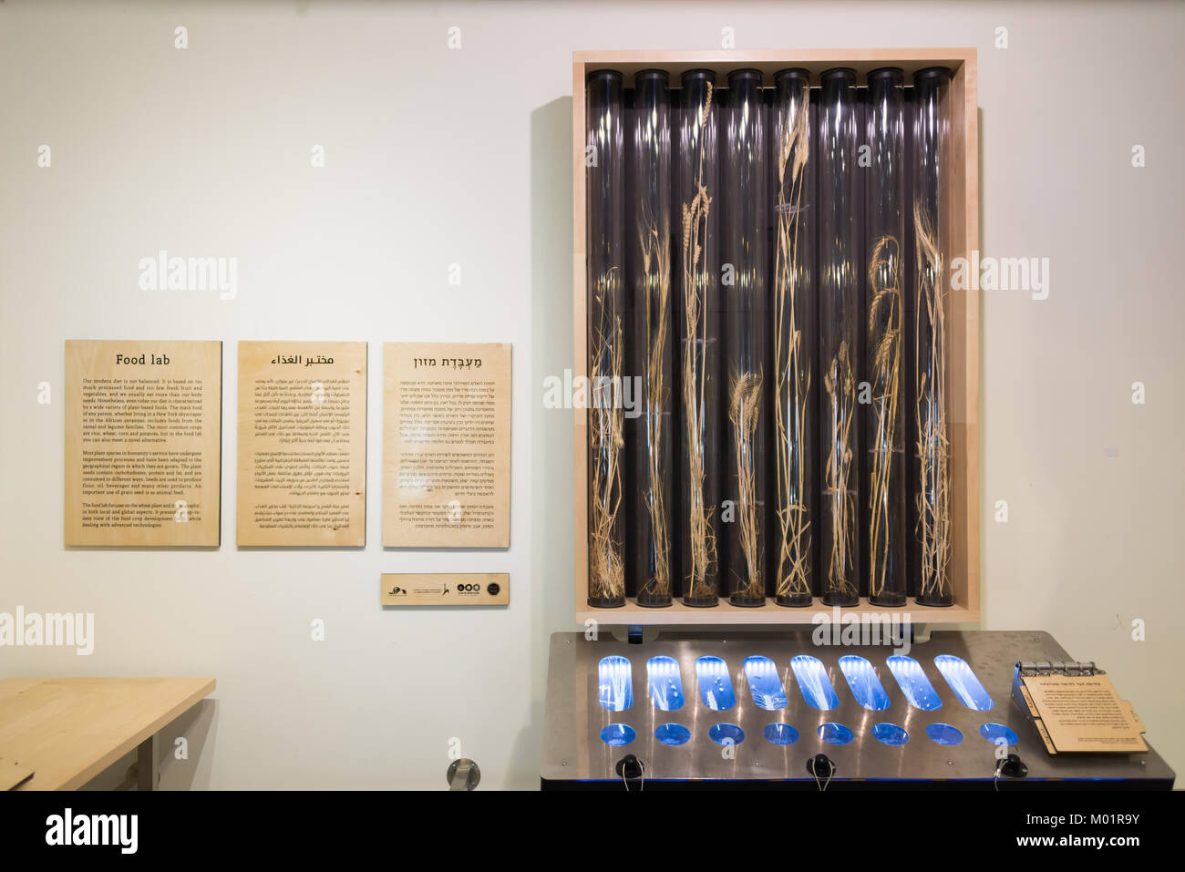 Visiting Bloomfield Science Museum Jerusalem in Israel Stock Photo Alamy