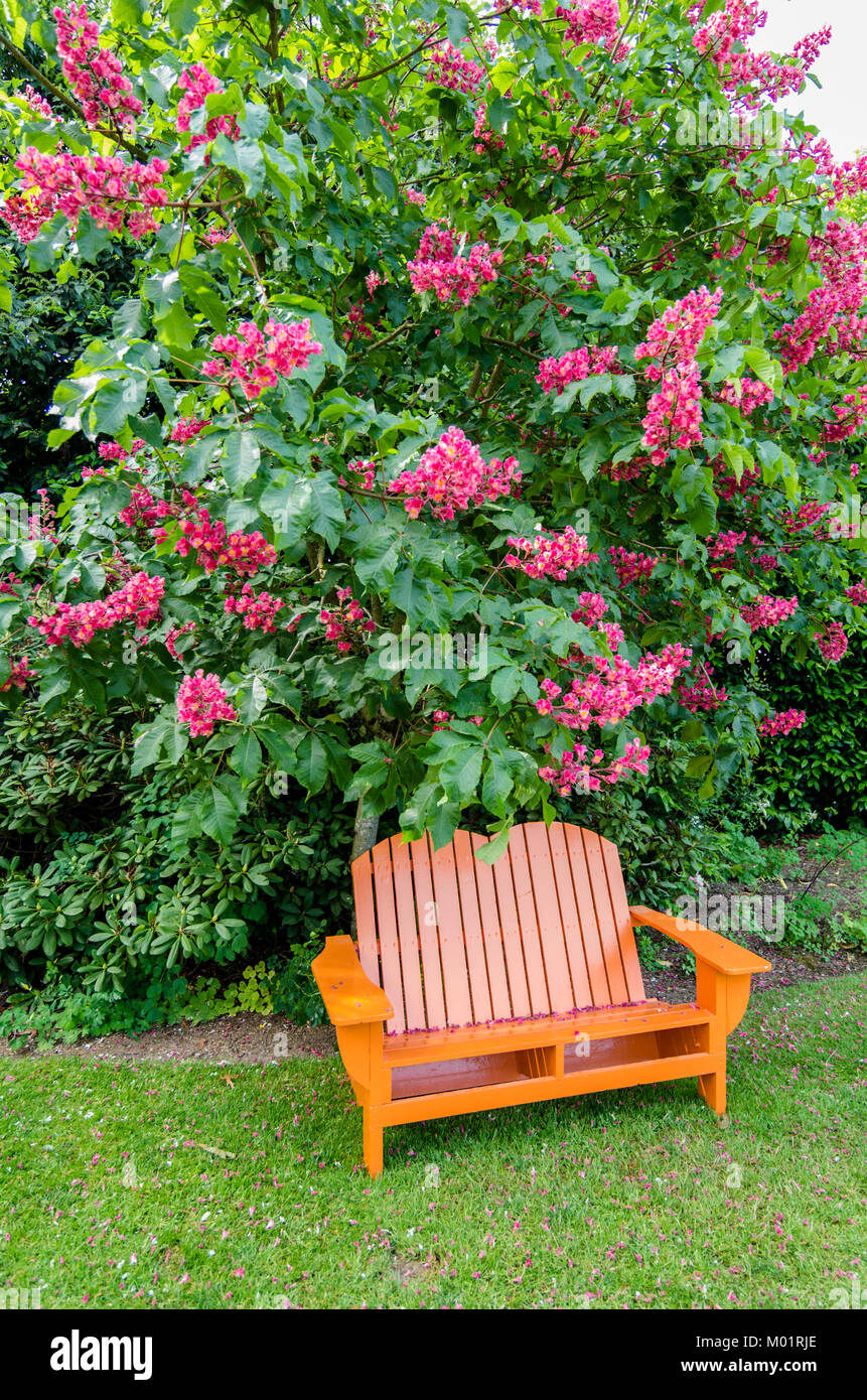 Orange Painted Wooden Bench In A Blooming Flower Garden Stock