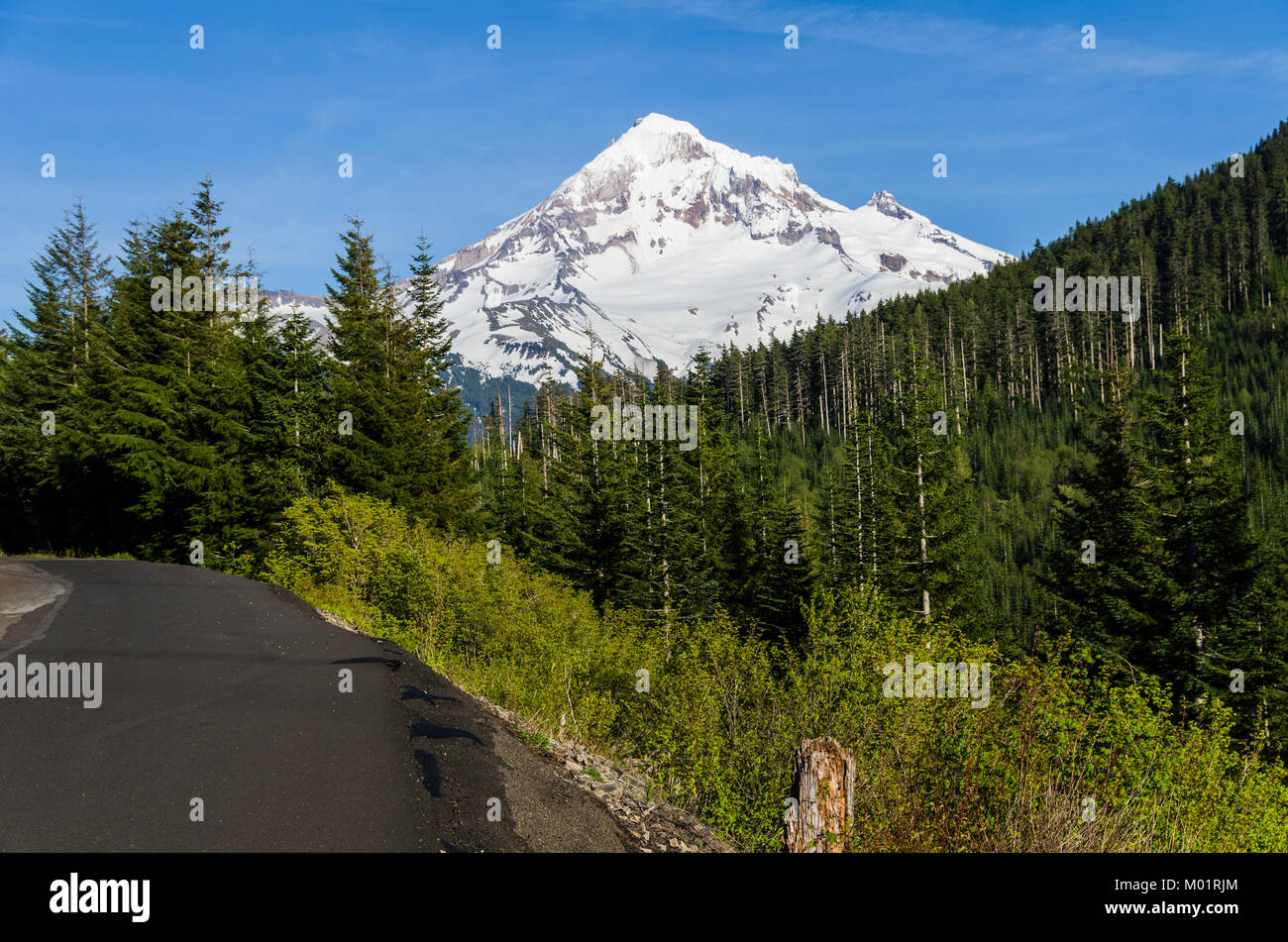 Mt Hood viewed from Lolo Pass. Mt Hood National Forest, Oregon Stock Photo Alamy