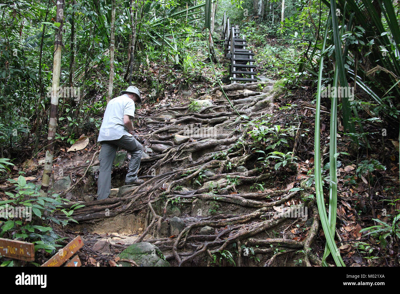 Travel Hiking Gunung Santubong Sarawak 2011