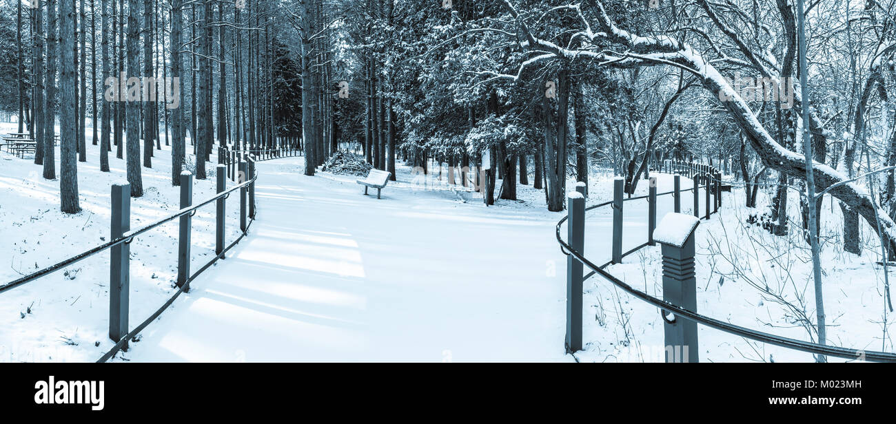 Park with Bench Covered in Snow Stock Photo - Alamy
