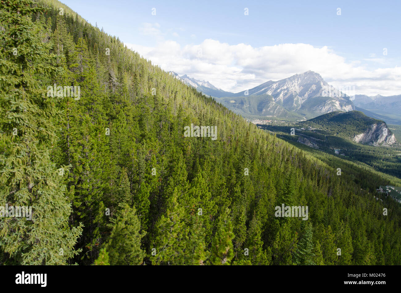 High angle shot above the trees looking at a distant snow capped mountain Stock Photo