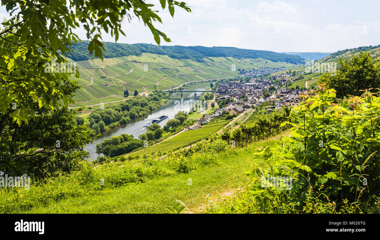 Moselle wine route hi-res stock photography and images - Alamy