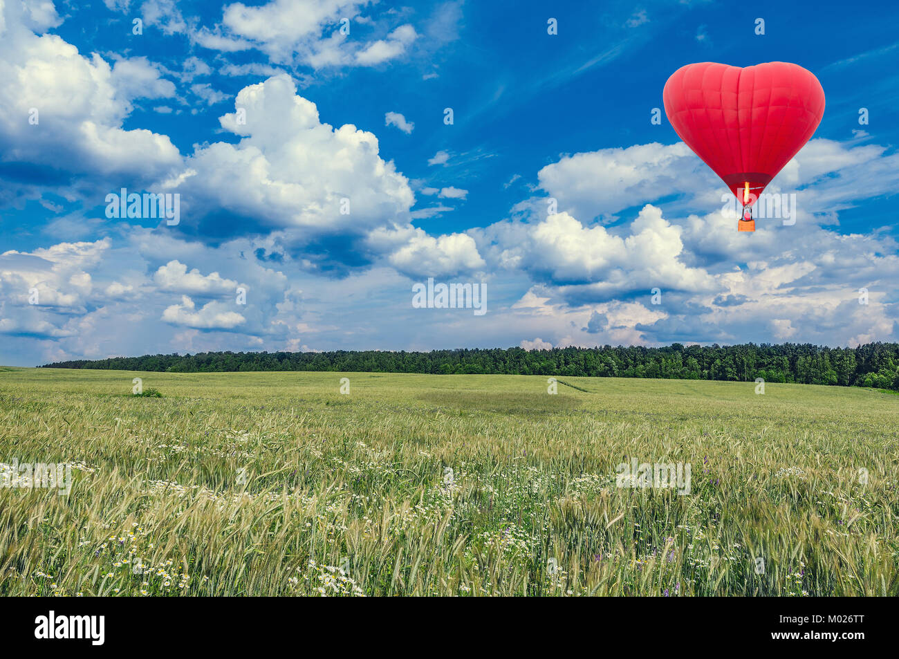 Red hot air balloon in the shape of a heart above the summer meadow ...