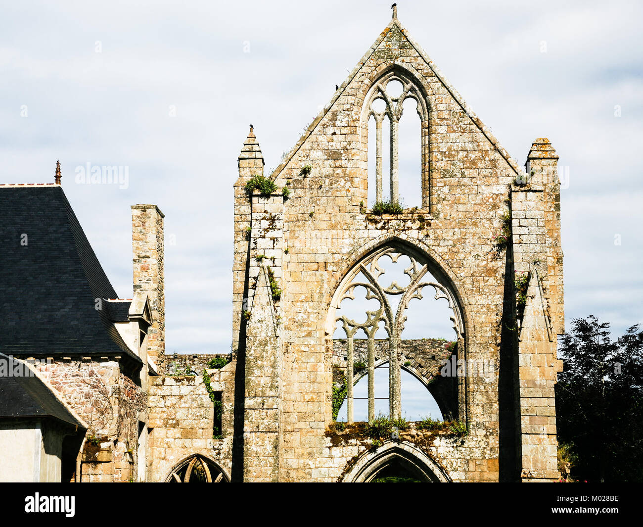 travel to France - front view of facade of ruined church of Abbaye de Beauport ( (abbey) in Kerity district of Paimpol town in Cotes-d'Armor departmen Stock Photo